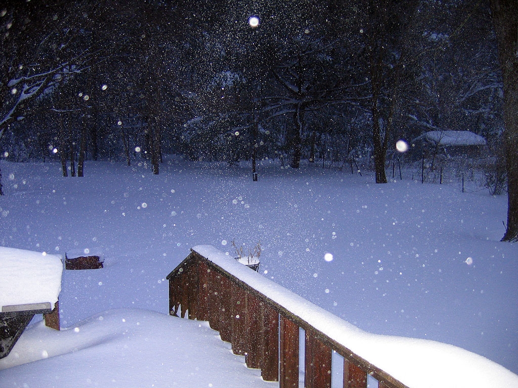 snow_19_dec_09_01.jpg